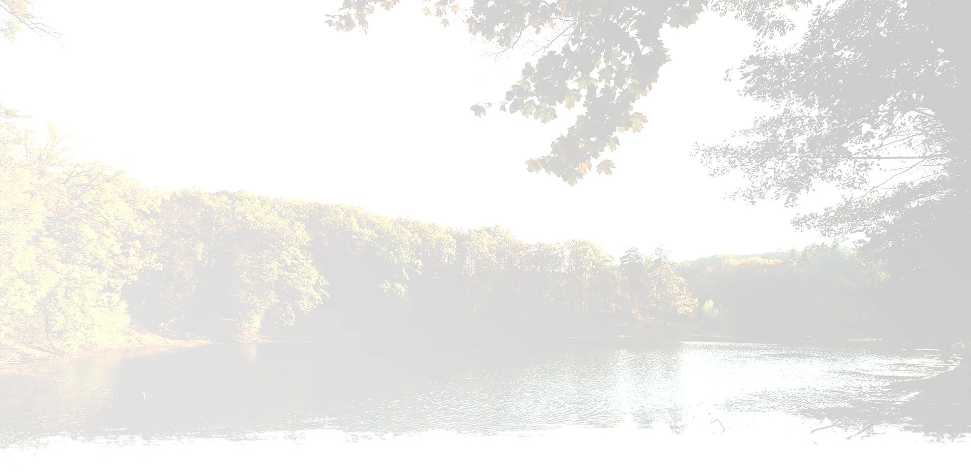 Faded background image of a lake and woods